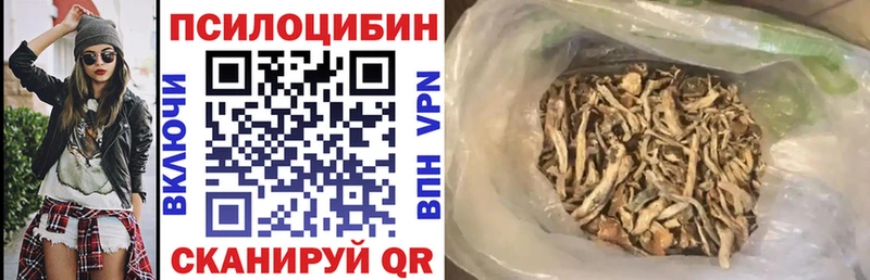 Купить закладки  Шарья  Галлюциногенные грибы Psilocybe 